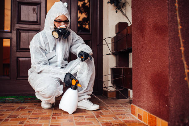 Reliable Cockroach Control contractor in Orland, CA by Nex Pest Control
